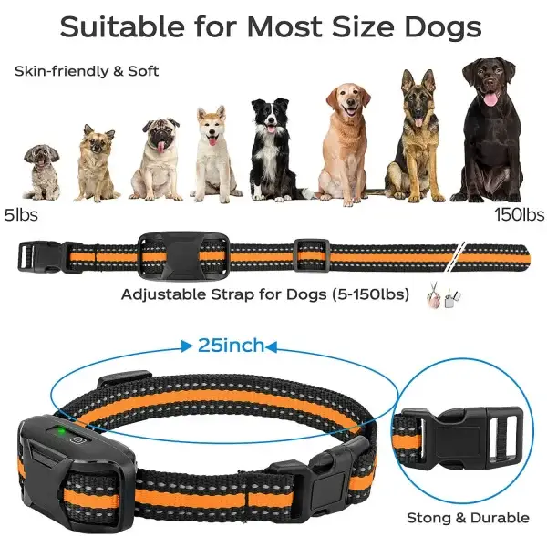 Electronic Dog Training Collar