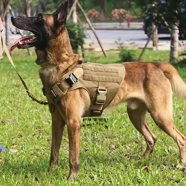 Dog Harness And Leash Set