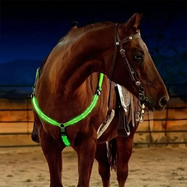 Hi Viz LED Night Harness