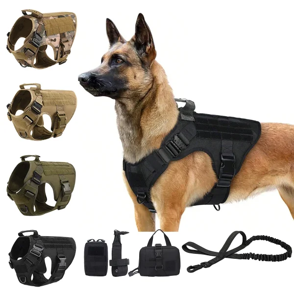 Harness Combo For Dogs