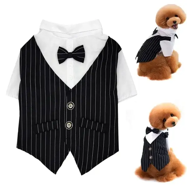 Dog Tuxedo