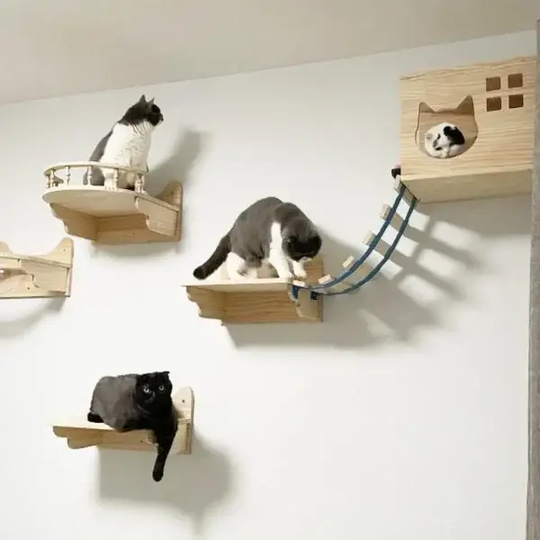 Cat Wall Perches